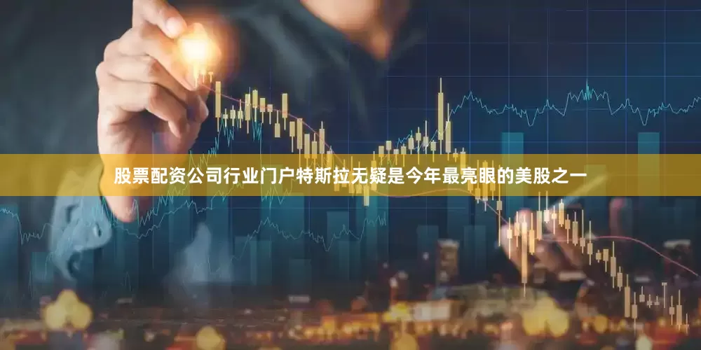 股票配资公司行业门户特斯拉无疑是今年最亮眼的美股之一