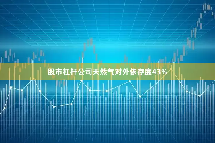 股市杠杆公司天然气对外依存度43%