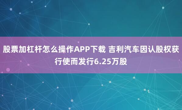 股票加杠杆怎么操作APP下载 吉利汽车因认股权获行使而发行6.25万股