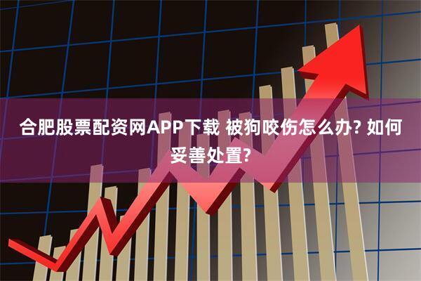 合肥股票配资网APP下载 被狗咬伤怎么办? 如何妥善处置?